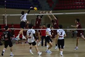 洛杉矶道奇官方商城：大谷翔平 2025 夺冠限量版球衣在 12 月 27 日正式补货上线